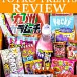 All of the snacks in the November 2021 TokyoTreat box with text overlay.